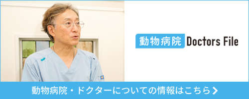 ドクターズファイル