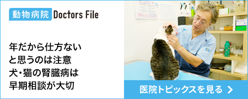 ドクターズファイル