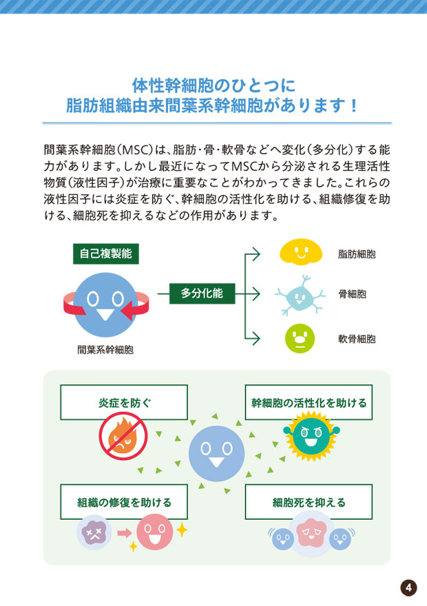 再生医療について