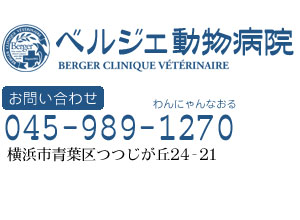 ベルジェ動物病院　045-989-1270（わんにゃんなおる）　横浜市青葉区つつじが丘24-21